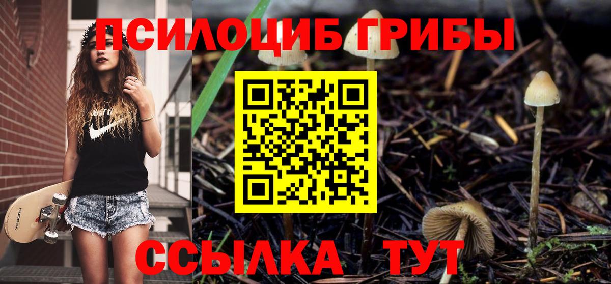 Галлюциногенные грибы мицелий Кашира