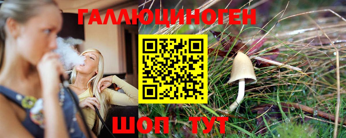Кашира  Галлюциногенные грибы мицелий  Вход с VPN 